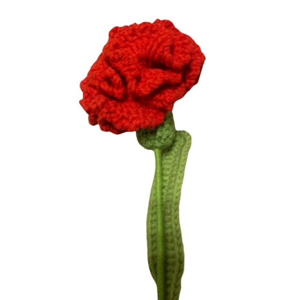 Crochet Flower - Carnation RD