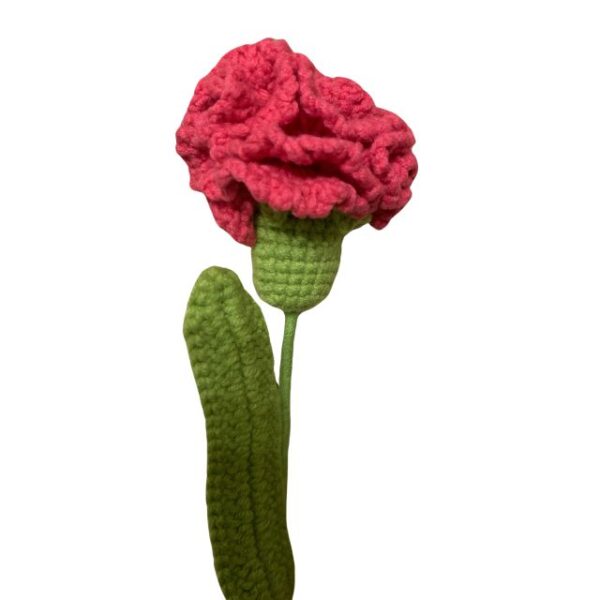 Crochet Flower - Carnation PK